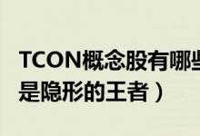 TCON概念股有哪些（TCON板块股票名单谁是隐形的王者）