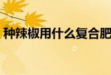 种辣椒用什么复合肥（种辣椒用什么复合肥）