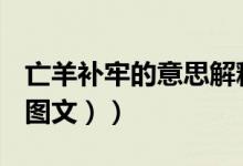 亡羊补牢的意思解释一下（亡羊补牢的意思（图文））