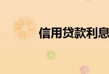 信用贷款利息（信用贷款利息）