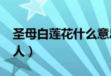 圣母白莲花什么意思?（圣母白莲花是指什么人）