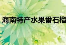 海南特产水果番石榴（海南特产水果有哪些）