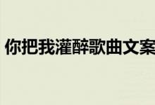 你把我灌醉歌曲文案（你把我灌醉歌词全文）