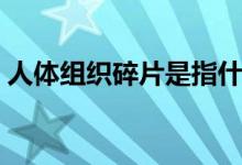 人体组织碎片是指什么（残骸和遗体的区别）