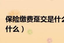 保险缴费趸交是什么意思（趸交保费的意思是什么）