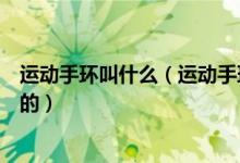 运动手环叫什么（运动手环是什么东西乐跑手环是干什么用的）