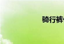  骑行裤什么牌子好 