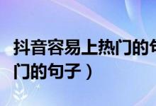 抖音容易上热门的句子正能量（抖音容易上热门的句子）