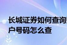 长城证券如何查询账户号码 长城证券股票账户号码怎么查