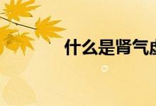 什么是肾气虚（什么是肾蕨）