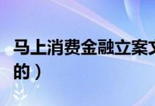 马上消费金融立案文书（马上消费金融立案真的）