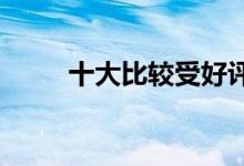  十大比较受好评直发器品牌排行榜 