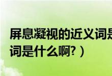 屏息凝视的近义词是什么词（屏息凝视的近义词是什么啊?）