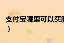 支付宝哪里可以买股票（支付宝哪里可以借款）