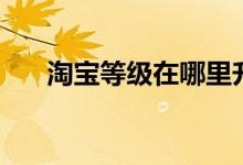 淘宝等级在哪里升（淘宝等级在哪看）