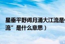 星垂平野阔月涌大江流是什么意思（“星垂平野阔月涌大江流”是什么意思）