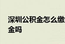深圳公积金怎么缴纳 深圳社保代缴能交公积金吗 