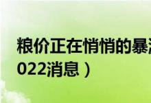 粮价正在悄悄的暴涨或大涨马上就要来了（2022消息）