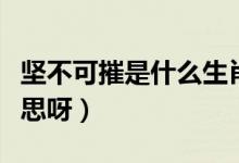 坚不可摧是什么生肖动物（坚不可摧是什么意思呀）