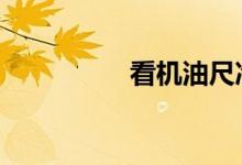看机油尺冷车还是热车 