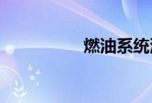  燃油系统清洗多久一次 