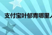 支付宝叶郁青哪里人（揭开个人详细资料）