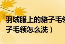 羽绒服上的貉子毛领清洗方法（羽绒服上的貉子毛领怎么洗）