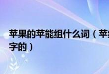 苹果的苹能组什么词（苹组词除了苹果还能组什么词是两个字的）