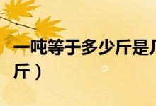 一吨等于多少斤是几年级学的（一吨等于多少斤）