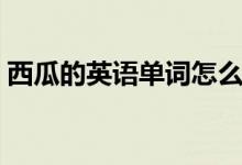 西瓜的英语单词怎么写（西瓜的英语怎么说）
