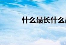 什么最长什么最短（什么最长?）