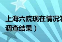上海六院现在情况怎么样（官方回应肢体冲突调查结果）
