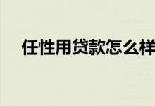 任性用贷款怎么样（任性用贷款怎么样）