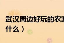 武汉周边好玩的农家乐（武汉周边农家乐都有什么）