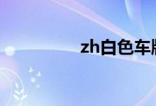  zh白色车牌号是什么车? 