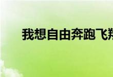 我想自由奔跑飞翔（我想自由的歌词）