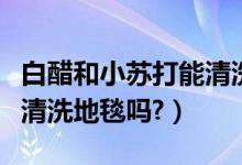 白醋和小苏打能清洗眼镜吗（白醋和小苏打能清洗地毯吗?）