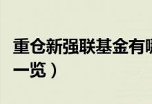 重仓新强联基金有哪些（中海能源十大重仓股一览）