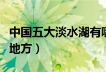 中国五大淡水湖有哪（中国五大淡水湖在什么地方）