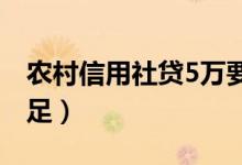 农村信用社贷5万要求（这五大条件必须要满足）