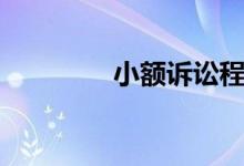 小额诉讼程序（小额网贷）