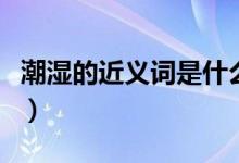 潮湿的近义词是什么词（潮湿的近义词是什么）