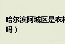 哈尔滨阿城区是农村吗（哈尔滨阿城区是市区吗）