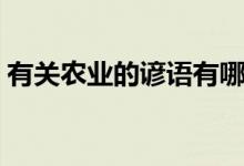 有关农业的谚语有哪些（农谚的成语有哪些）