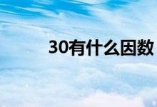 30有什么因数（30有一个因数?）