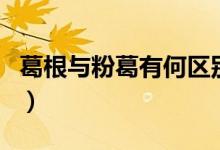 葛根与粉葛有何区别（粉葛根和紫葛根的区别）