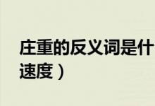 庄重的反义词是什么（宽厚的反义词是什么 速度）