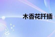 木香花扦插（木香花是什么）