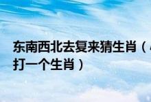 东南西北去复来猜生肖（小巧玲珑多兴灾东南西北去复来…打一个生肖）