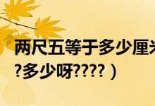 两尺五等于多少厘米（两尺五等于多少厘米???多少呀????）